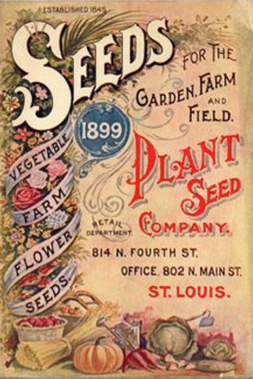 vintage garden seeds Vintage Style Postcard Set of 4 ~ Seeds ~ Vintage Seed and Garden Trav –  SeattleSkyDyeworks