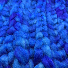 PNWWW Coopworth Wool Roving 4oz: Steller's Jay