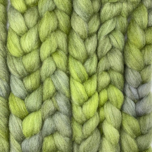PNWWW Texel Wool Roving 4oz: Oops, that's my couch