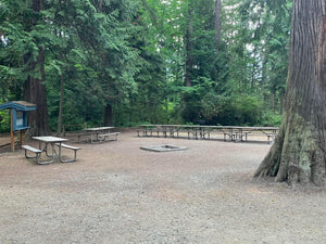 Outdoor Gathering Space and Fire Pit at the Salish Sea & Sky Fiber Arts Retreat in Sequim, WA