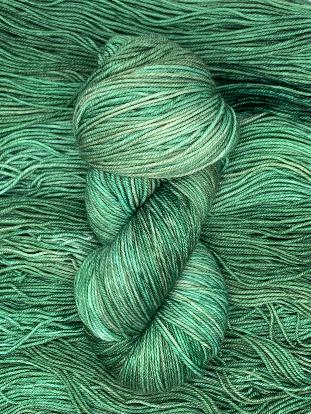 Hand Dyed Fingering Weight Superwash Merino cashmere nylon yarn in Hadrian Green