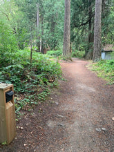 Dirt walking Path between the Adirondack Cabins and the bathroom and main lodge at the Fiber Arts Retreat