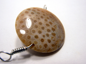 Shawl Pin ~ Wire Wrapped Stone ~ Fossilized Coral with Silver Wire