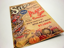 Vintage Style Postcard Set of 4 ~ Seeds ~ Vintage Seed and Garden Traveling Salesman Catalog Advertisement Postcard